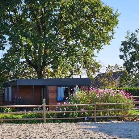 Houten huisje tussen paarden Nieuwerkerken Buitenkant foto