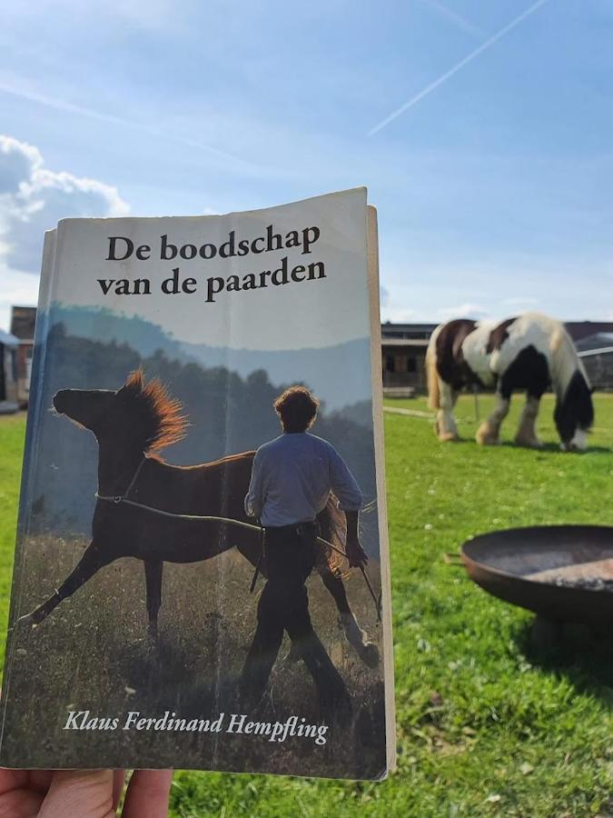 Houten huisje tussen paarden Nieuwerkerken Buitenkant foto