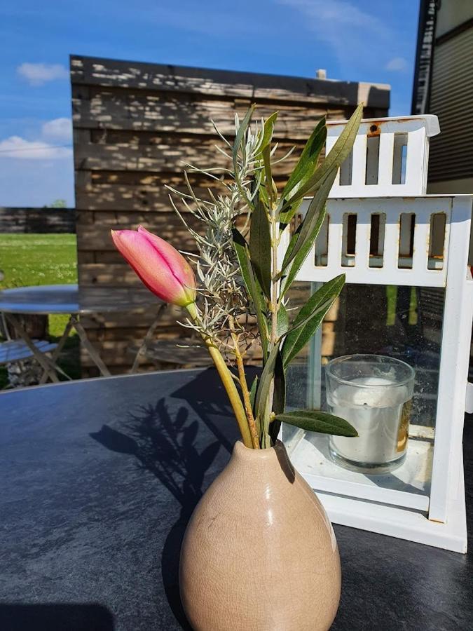 Houten huisje tussen paarden Nieuwerkerken Buitenkant foto