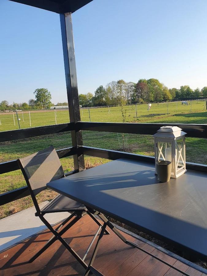 Houten huisje tussen paarden Nieuwerkerken Buitenkant foto