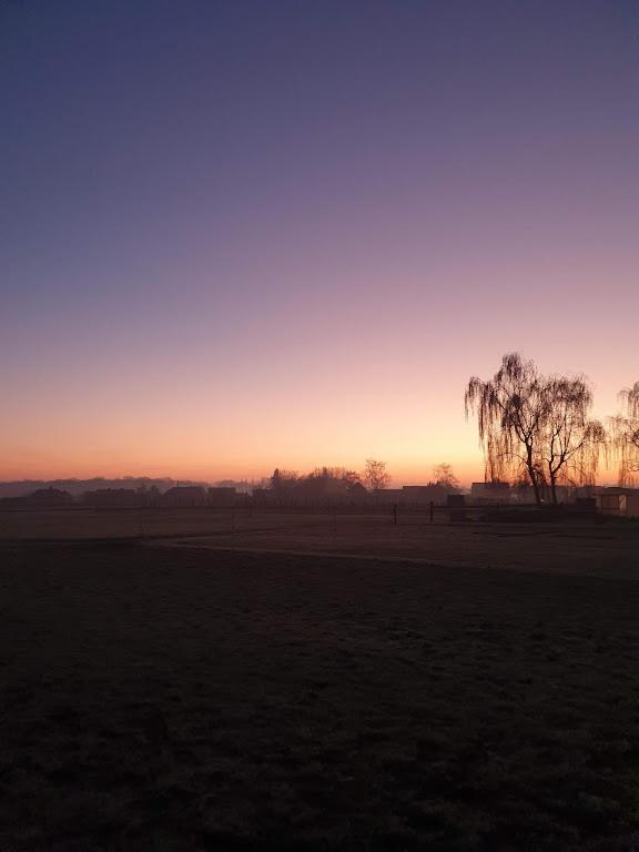 Houten huisje tussen paarden Nieuwerkerken Buitenkant foto