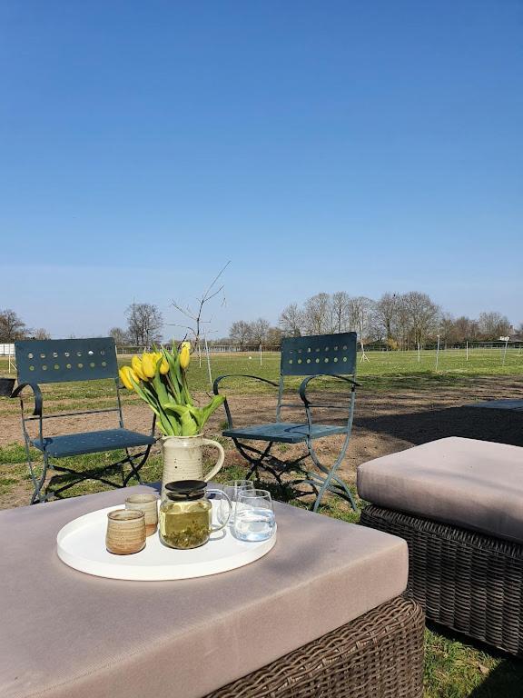 Houten huisje tussen paarden Nieuwerkerken Buitenkant foto