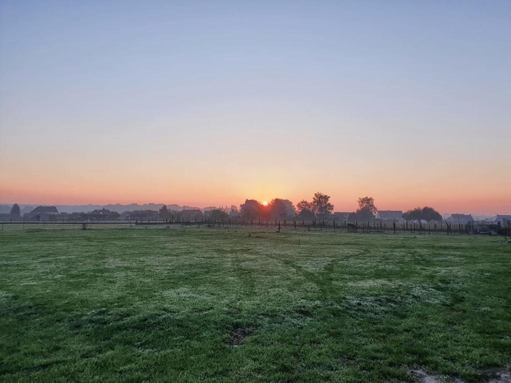 Houten huisje tussen paarden Nieuwerkerken Buitenkant foto