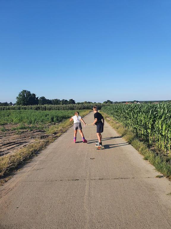 Houten huisje tussen paarden Nieuwerkerken Buitenkant foto