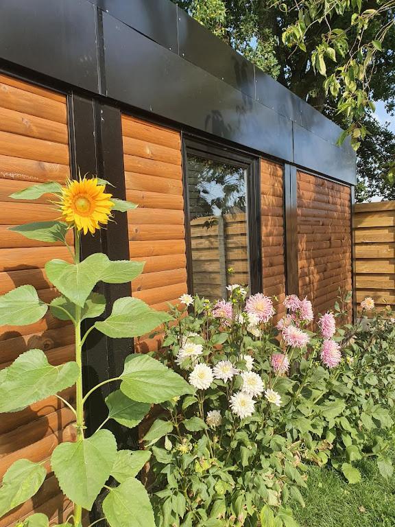 Houten huisje tussen paarden Nieuwerkerken Buitenkant foto