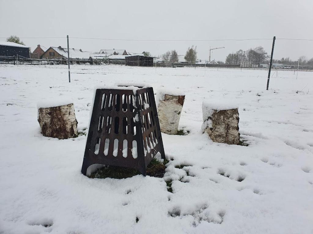 Houten huisje tussen paarden Nieuwerkerken Buitenkant foto