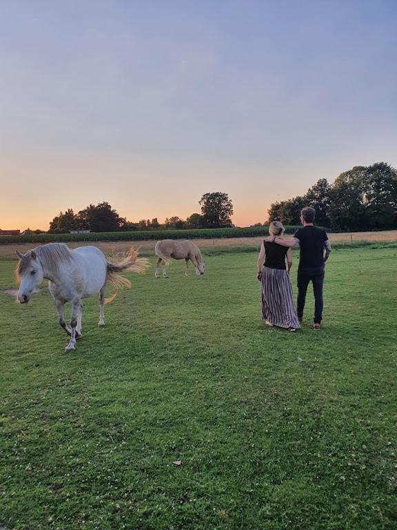 Houten huisje tussen paarden Nieuwerkerken Buitenkant foto