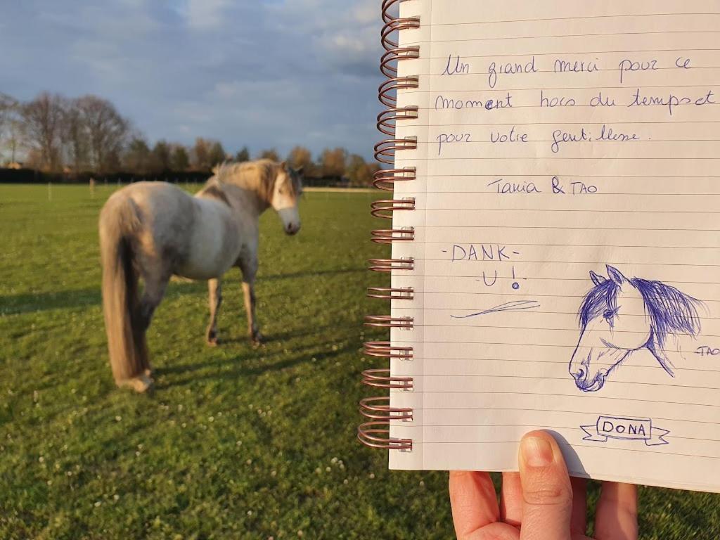 Houten huisje tussen paarden Nieuwerkerken Buitenkant foto