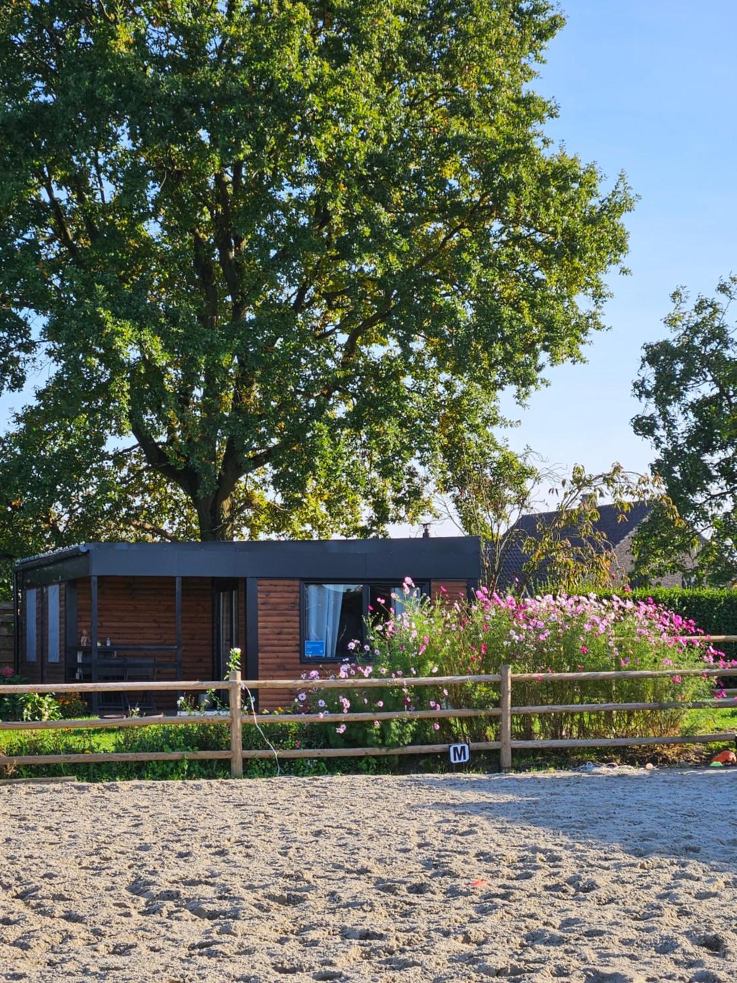 Houten huisje tussen paarden Nieuwerkerken Buitenkant foto