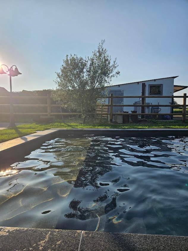 Houten huisje tussen paarden Nieuwerkerken Buitenkant foto