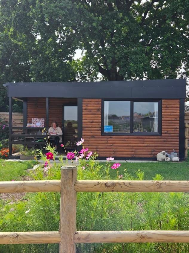 Houten huisje tussen paarden Nieuwerkerken Buitenkant foto